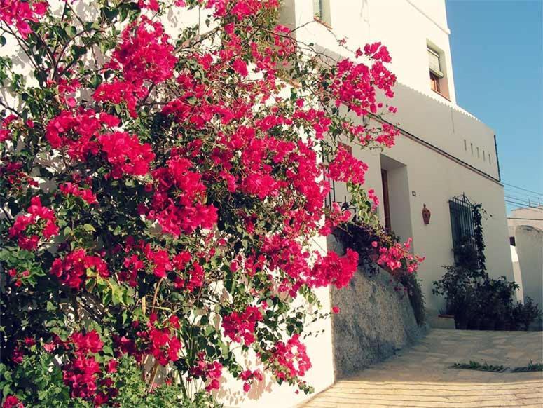 Jardines Del Mar Salobrena Apartment Ngoại thất bức ảnh